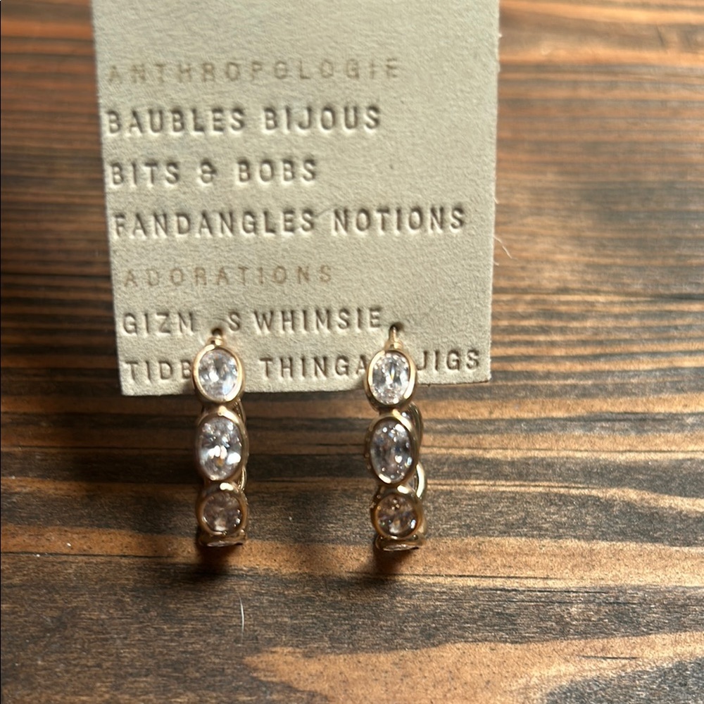 Anthropologie Gold and Crystal Modern Hoop Earrings